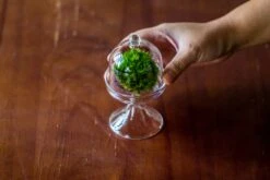 3 Units Mini Glass Serve Stand Dome Cloche Set 7x12.8cm -Ncyp Garden Store IMG 8268 1