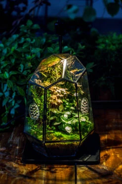 Planting Kit For This Close Geometric Tin Glass Terrarium With Door, Vent -Ncyp Garden Store IMG 8521 3564795a db30 43f8 a9a0 c375e1ad1ff7