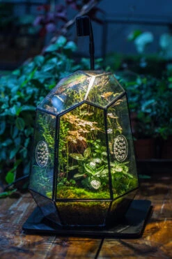 Planting Kit For This Close Geometric Tin Glass Terrarium With Door, Vent -Ncyp Garden Store IMG 8522 a8645e37 d8de 437f 9e7f 9628edc1e809
