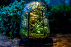 Planting Kit For This Close Geometric Tin Glass Terrarium With Door, Vent -Ncyp Garden Store IMG 8524 bc6e42e3 52a5 42f8 b082 453c8f07783b