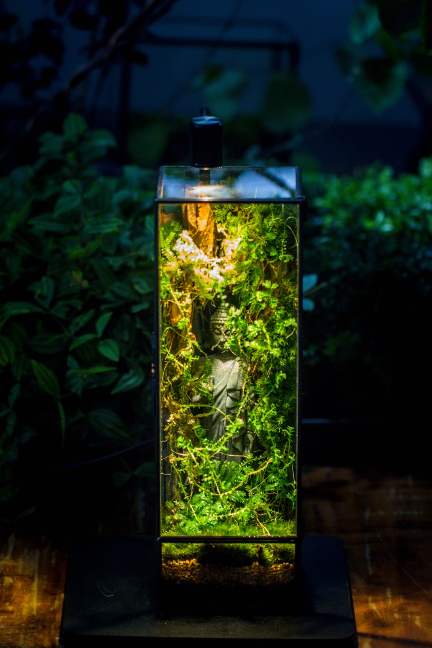 NCYP Close 11.8" Tall Geometric Glass Terrarium With Door, Tin Sealed Pillar, Planter For Moss Wall, Fern, Pitcher Plants, Tropical Plants 17 NCYP Close 11.8" Tall Geometric Glass Terrarium With Door, Tin Sealed Pillar, Planter For Moss Wall, Fern, Pitcher Plants, Tropical Plants - Image 15