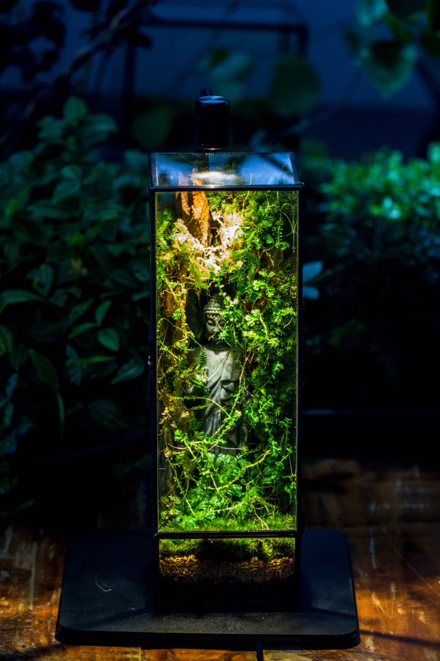 NCYP Close 11.8" Tall Geometric Glass Terrarium With Door, Tin Sealed Pillar, Planter For Moss Wall, Fern, Pitcher Plants, Tropical Plants 16 NCYP Close 11.8" Tall Geometric Glass Terrarium With Door, Tin Sealed Pillar, Planter For Moss Wall, Fern, Pitcher Plants, Tropical Plants - Image 14