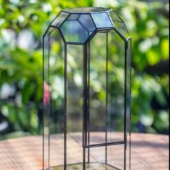 Vintage Tall Octagon Geometric Tin Glass Terrarium , 12.6" , Close, Suitable For Tall Plants, Orchid, Small Begonia Pitcher, Micro Landscape -with White Light Set 24 Vintage Tall Octagon Geometric Tin Glass Terrarium , 12.6" , Close, Suitable For Tall Plants, Orchid, Small Begonia Pitcher, Micro Landscape -with White Light Set -Ncyp Garden Store IMG 8800 4a7be5a5 1875 49a5 a113 96d0cb7ff616