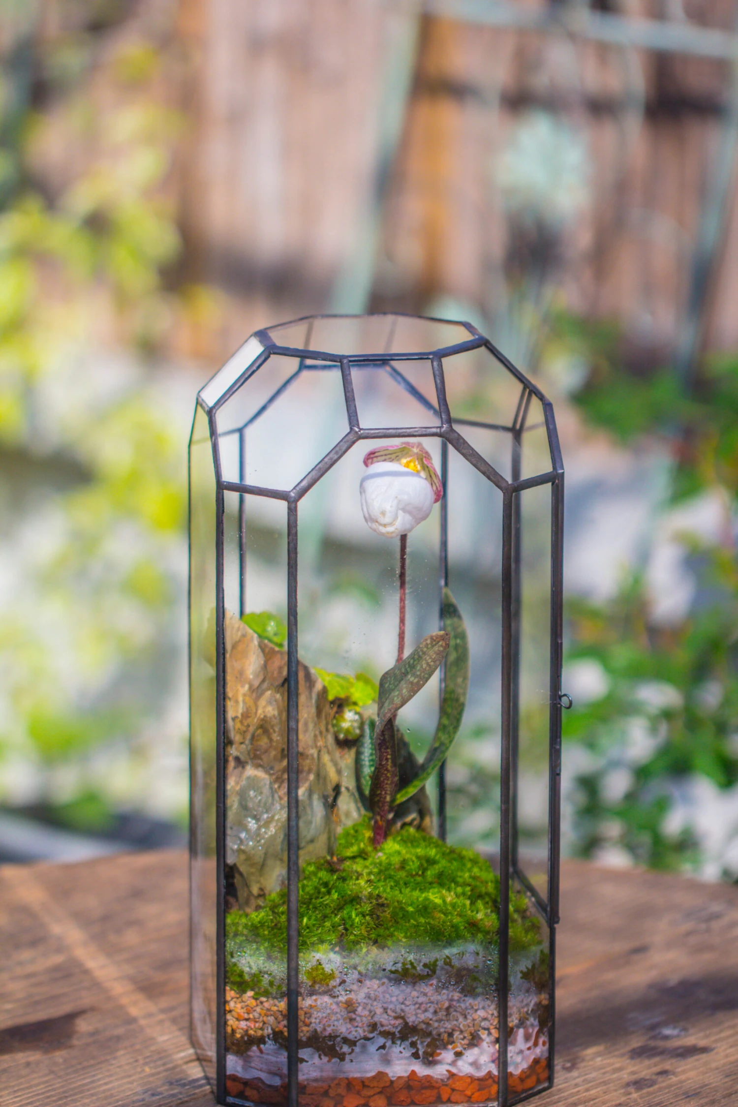 Vintage Tall Octagon Geometric Tin Glass Terrarium , 12.6" , Close, Suitable For Tall Plants, Orchid, Small Begonia Pitcher, Micro Landscape -with White Light Set 21 Vintage Tall Octagon Geometric Tin Glass Terrarium , 12.6" , Close, Suitable For Tall Plants, Orchid, Small Begonia Pitcher, Micro Landscape -with White Light Set - Image 19