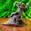 Driftwood For Moss Terrarium, Miniature, Micro Landscape,T8017 -Ncyp Garden Store IMG 8877 1