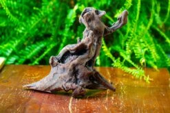 Driftwood For Moss Terrarium, Miniature, Micro Landscape,T8017 -Ncyp Garden Store IMG 8877 9b9be197 e638 4680 b731 1d6316f0eea6