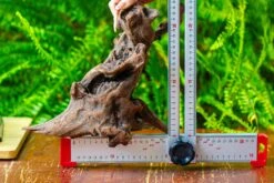 Driftwood For Moss Terrarium, Miniature, Micro Landscape,T8017 -Ncyp Garden Store IMG 8881 c3663aa4 1732 4eef a790 324763ae49b3