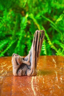 Driftwood For Moss Terrarium, Miniature, Micro Landscape,T8015 -Ncyp Garden Store IMG 8884 1774818f eb2f 461b 9488 20a2690cc411