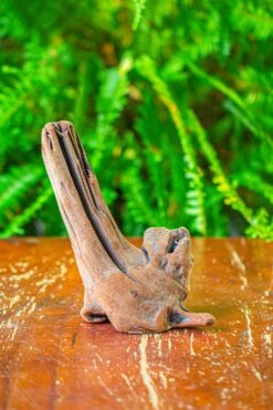 Driftwood For Moss Terrarium, Miniature, Micro Landscape,T8015 -Ncyp Garden Store IMG 8886 aa041bea a200 4aea 8a4f b7aaa9b244f3