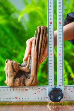 Driftwood For Moss Terrarium, Miniature, Micro Landscape,T8015 -Ncyp Garden Store IMG 8888