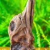 Driftwood For Moss Terrarium, Miniature, Micro Landscape,T8010 2 Driftwood For Moss Terrarium, Miniature, Micro Landscape,T8010 -Ncyp Garden Store IMG 8892 2