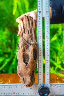 Driftwood For Moss Terrarium, Miniature, Micro Landscape,T8010 -Ncyp Garden Store IMG 8894 7e536a20 5486 4b12 b74b 0c47d54b40d9