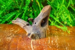 Driftwood For Moss Terrarium, Miniature, Micro Landscape,T8014 -Ncyp Garden Store IMG 8896