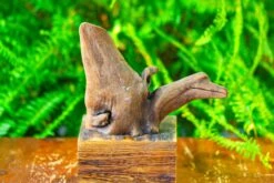 Driftwood For Moss Terrarium, Miniature, Micro Landscape,T8014 -Ncyp Garden Store IMG 8898