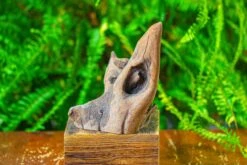 Driftwood For Moss Terrarium, Miniature, Micro Landscape,T8014 -Ncyp Garden Store IMG 8899