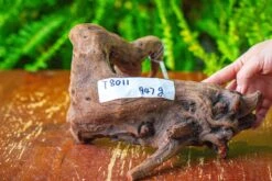 Driftwood For Moss Terrarium, Miniature, Micro Landscape,T8011 -Ncyp Garden Store IMG 8916 2