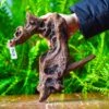 Driftwood For Moss Terrarium, Miniature, Micro Landscape,T8011 1 Driftwood For Moss Terrarium, Miniature, Micro Landscape,T8011 -Ncyp Garden Store IMG 8919 2