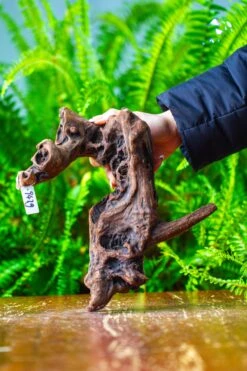 Driftwood For Moss Terrarium, Miniature, Micro Landscape,T8011 -Ncyp Garden Store IMG 8919