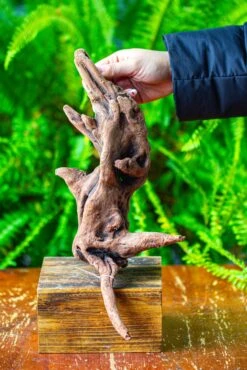 Driftwood For Moss Terrarium, Miniature, Micro Landscape,T8018 -Ncyp Garden Store IMG 8926 ee20568c f9cb 4441 a4a3 f5aa495a7c59