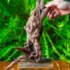 Driftwood For Moss Terrarium, Miniature, Micro Landscape,T8018 -Ncyp Garden Store IMG 8927 2