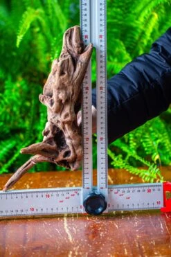 Driftwood For Moss Terrarium, Miniature, Micro Landscape,T8018 -Ncyp Garden Store IMG 8930 dda1d895 e368 4ad9 9023 764f97fba828