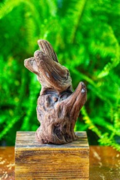 Driftwood For Moss Terrarium, Miniature, Micro Landscape,T8006 -Ncyp Garden Store IMG 8932