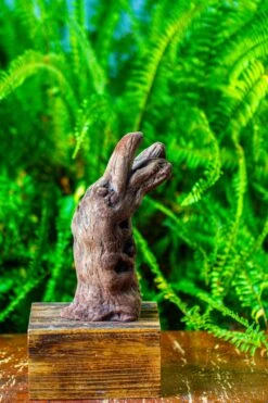 Driftwood For Moss Terrarium, Miniature, Micro Landscape,T8006 -Ncyp Garden Store IMG 8934 8b8aefc7 796a 4d2f a196 753b036d3854