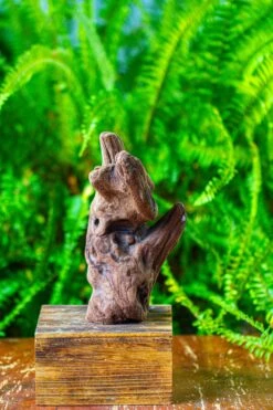 Driftwood For Moss Terrarium, Miniature, Micro Landscape,T8006 -Ncyp Garden Store IMG 8935