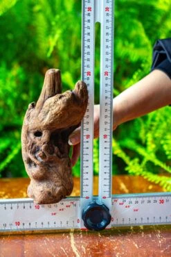 Driftwood For Moss Terrarium, Miniature, Micro Landscape,T8006 -Ncyp Garden Store IMG 8936 08370f57 82ab 49ac adf9 4003790df233