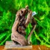 Driftwood For Moss Terrarium, Miniature, Micro Landscape,T8008 -Ncyp Garden Store IMG 8945 2