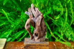 Driftwood For Moss Terrarium, Miniature, Micro Landscape,T8008 -Ncyp Garden Store IMG 8947