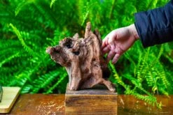 Driftwood For Moss Terrarium, Miniature, Micro Landscape,T8009 -Ncyp Garden Store IMG 8954