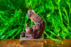 Driftwood For Moss Terrarium, Miniature, Micro Landscape,T8012 -Ncyp Garden Store IMG 8963