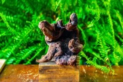 Driftwood For Moss Terrarium, Miniature, Micro Landscape,T8012 -Ncyp Garden Store IMG 8964