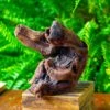 Driftwood For Moss Terrarium, Miniature, Micro Landscape,T8012 1 Driftwood For Moss Terrarium, Miniature, Micro Landscape,T8012 -Ncyp Garden Store IMG 8965 2