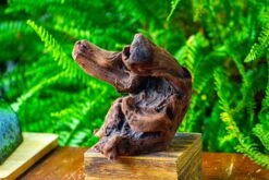 Driftwood For Moss Terrarium, Miniature, Micro Landscape,T8012 -Ncyp Garden Store IMG 8965