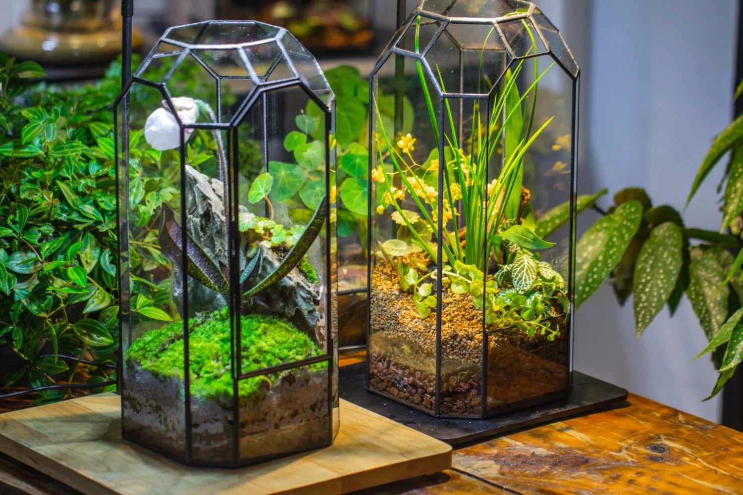 Vintage Tall Octagon Geometric Tin Glass Terrarium , 12.6" , Close, Suitable For Tall Plants, Orchid, Small Begonia Pitcher, Micro Landscape -with White Light Set 14 Vintage Tall Octagon Geometric Tin Glass Terrarium , 12.6" , Close, Suitable For Tall Plants, Orchid, Small Begonia Pitcher, Micro Landscape -with White Light Set - Image 12