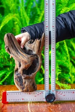 Driftwood For Moss Terrarium, Miniature, Micro Landscape,T8007 -Ncyp Garden Store IMG 8993 090b700e 3c67 40ff b8e8 d6bd48ac68a3