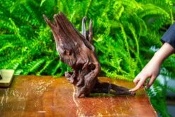 Driftwood For Moss Terrarium, Miniature, Micro Landscape, H8002 -Ncyp Garden Store IMG 9026