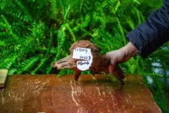 Driftwood For Moss Terrarium, Miniature, Micro Landscape, H8004 -Ncyp Garden Store IMG 9055 1e05d25f 986e 4e9d b91c 8666eb790f28