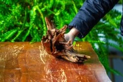 Driftwood For Moss Terrarium, Miniature, Micro Landscape, H8004 -Ncyp Garden Store IMG 9060 a6485a07 c1d0 4f51 90fe 22c664f0ead7