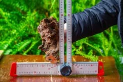 Driftwood For Moss Terrarium, Miniature, Micro Landscape, H8003 -Ncyp Garden Store IMG 9071 8d56e794 a6fd 4945 9d6c a69fd183667b