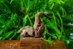 Driftwood For Moss Terrarium, Miniature, Micro Landscape,TS005 -Ncyp Garden Store IMG 9082 0ad6ede4 4f1b 40b5 a6e4 8fdafe0afaf1