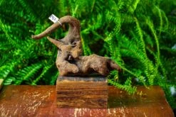 Driftwood For Moss Terrarium, Miniature, Micro Landscape,TS005 -Ncyp Garden Store IMG 9084 a7440b56 677e 40aa bba7 2673f5a96a20