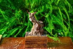 Driftwood For Moss Terrarium, Miniature, Micro Landscape,TS010 -Ncyp Garden Store IMG 9090 84a2cca2 4fea 404b aabc af788c8f901e