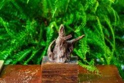 Driftwood For Moss Terrarium, Miniature, Micro Landscape,TS010 -Ncyp Garden Store IMG 9091