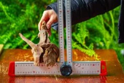 Driftwood For Moss Terrarium, Miniature, Micro Landscape,TS010 -Ncyp Garden Store IMG 9094 5b223fcf f9fd 47f3 9bb7 17af1e96de2e