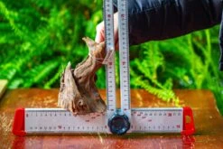 Driftwood For Moss Terrarium, Miniature, Micro Landscape,TS010 -Ncyp Garden Store IMG 9095 7575640b 1494 4656 9ca9 979994da28c3