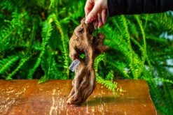 Driftwood For Moss Terrarium, Miniature, Micro Landscape,TS008 -Ncyp Garden Store IMG 9110