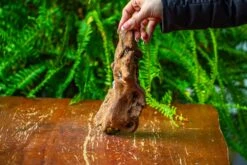 Driftwood For Moss Terrarium, Miniature, Micro Landscape,TS008 -Ncyp Garden Store IMG 9111 5f06c0ff 9556 404c 913d f126f8d72fc7